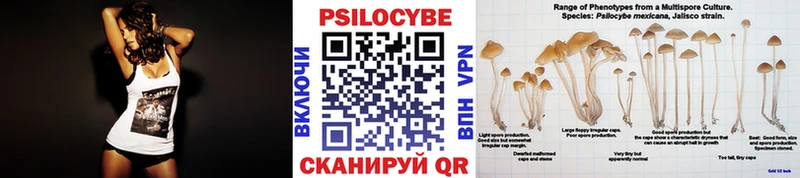 наркота  Кочубеевское  Галлюциногенные грибы прущие грибы 